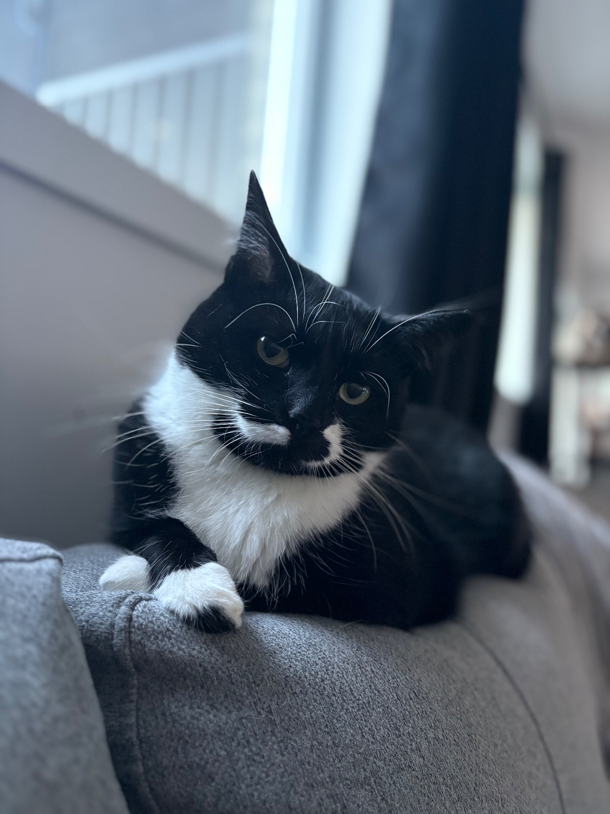 Ti-Mine (Pablo)