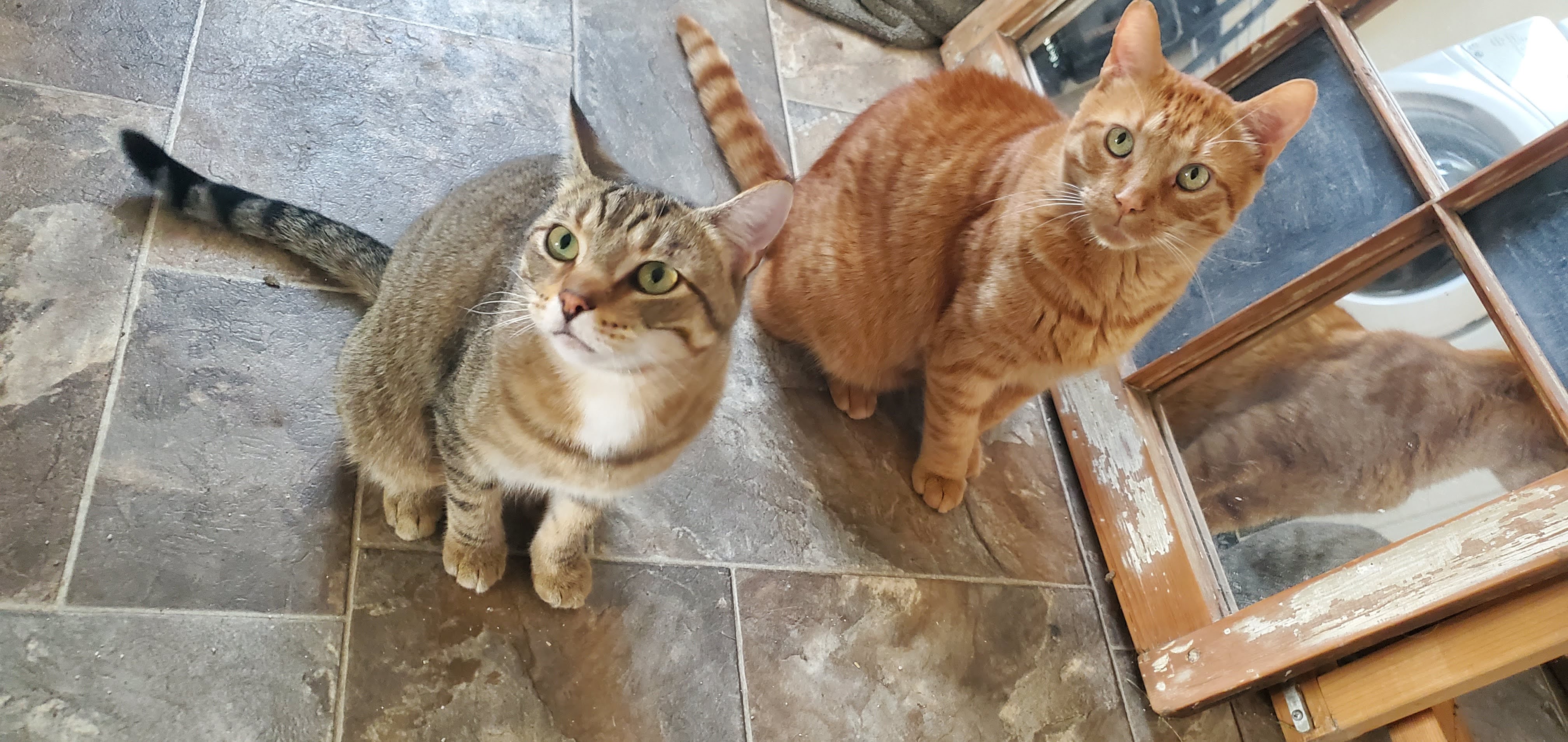 Max and Little