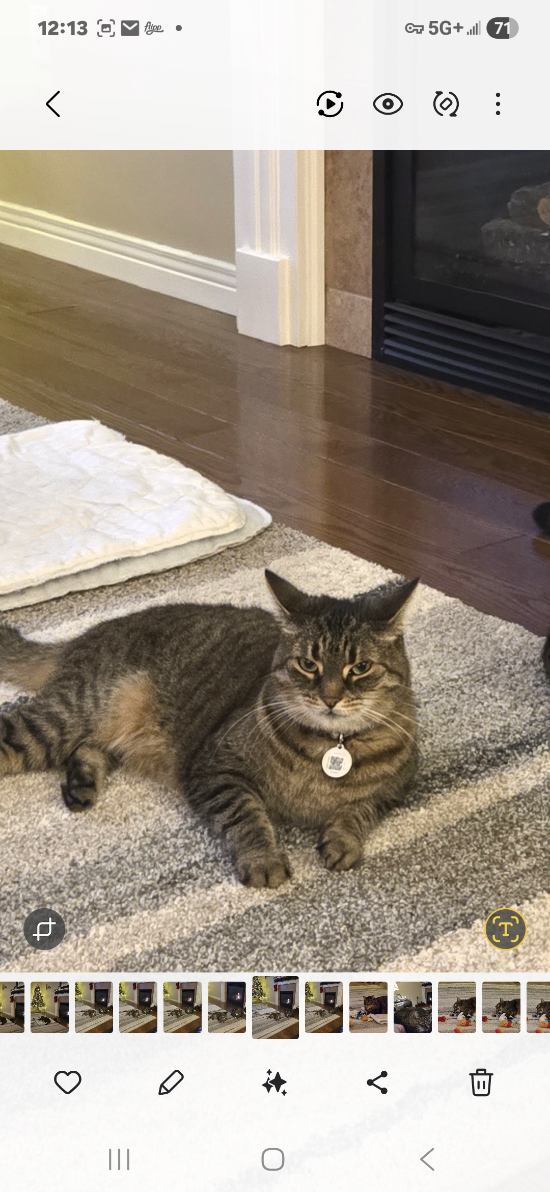 Lost Tabby grey named Meadow in Hannon