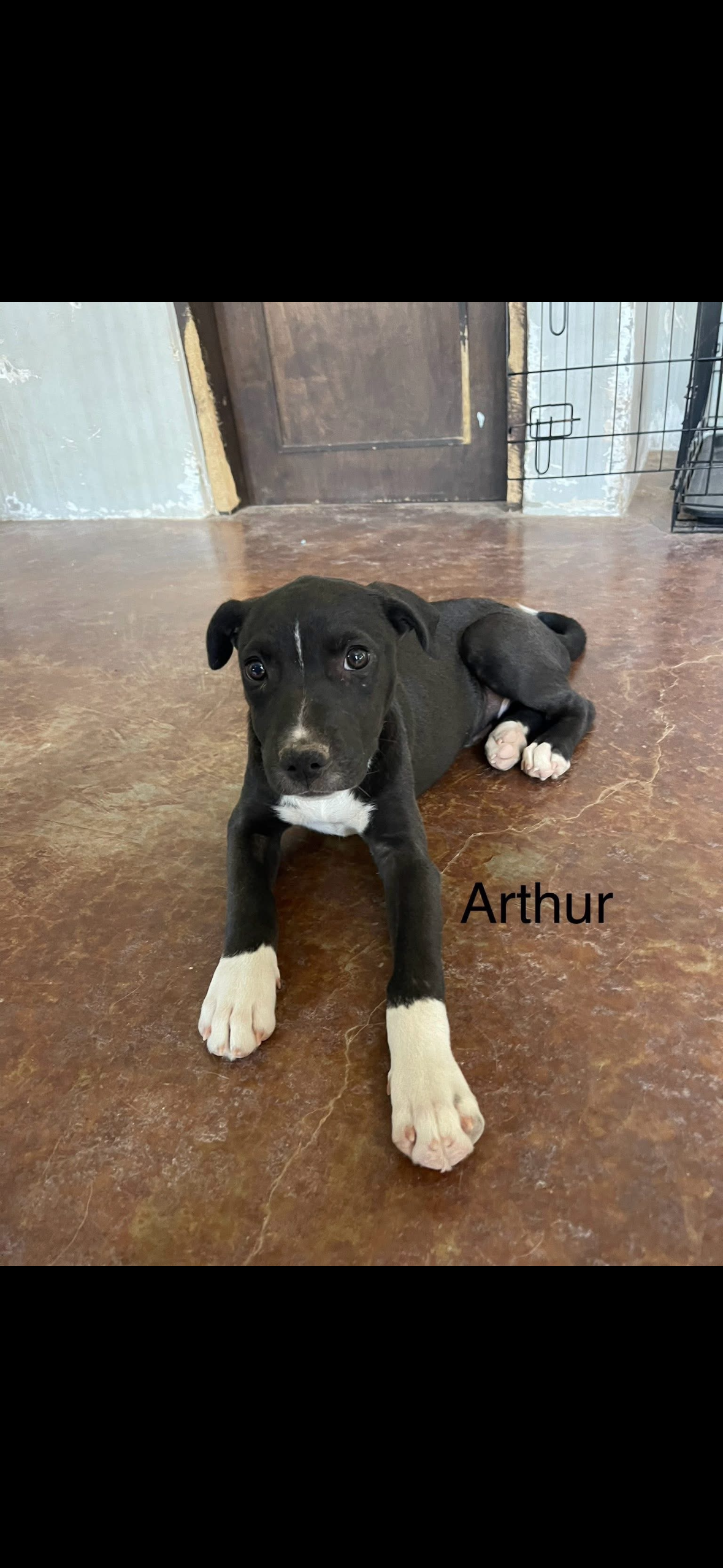 Arthur