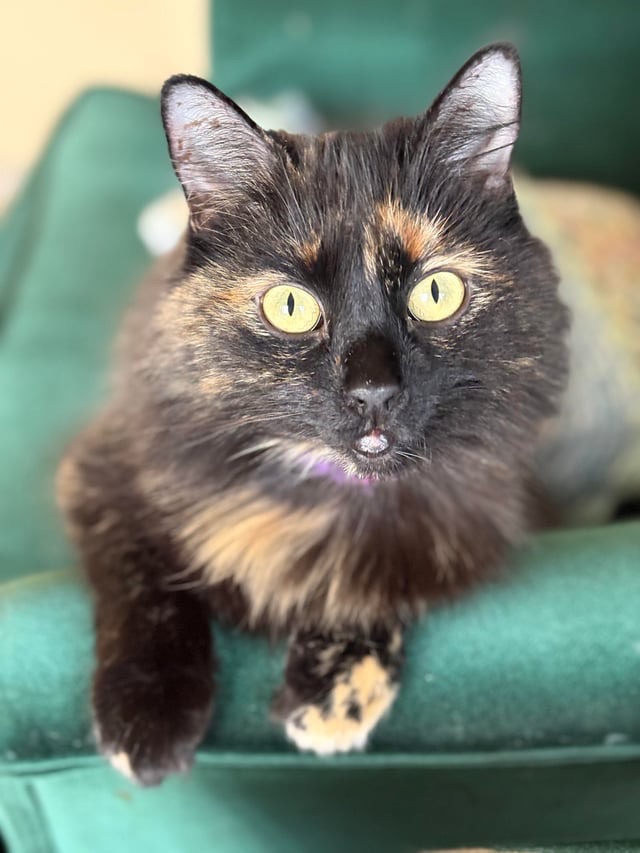 Luna