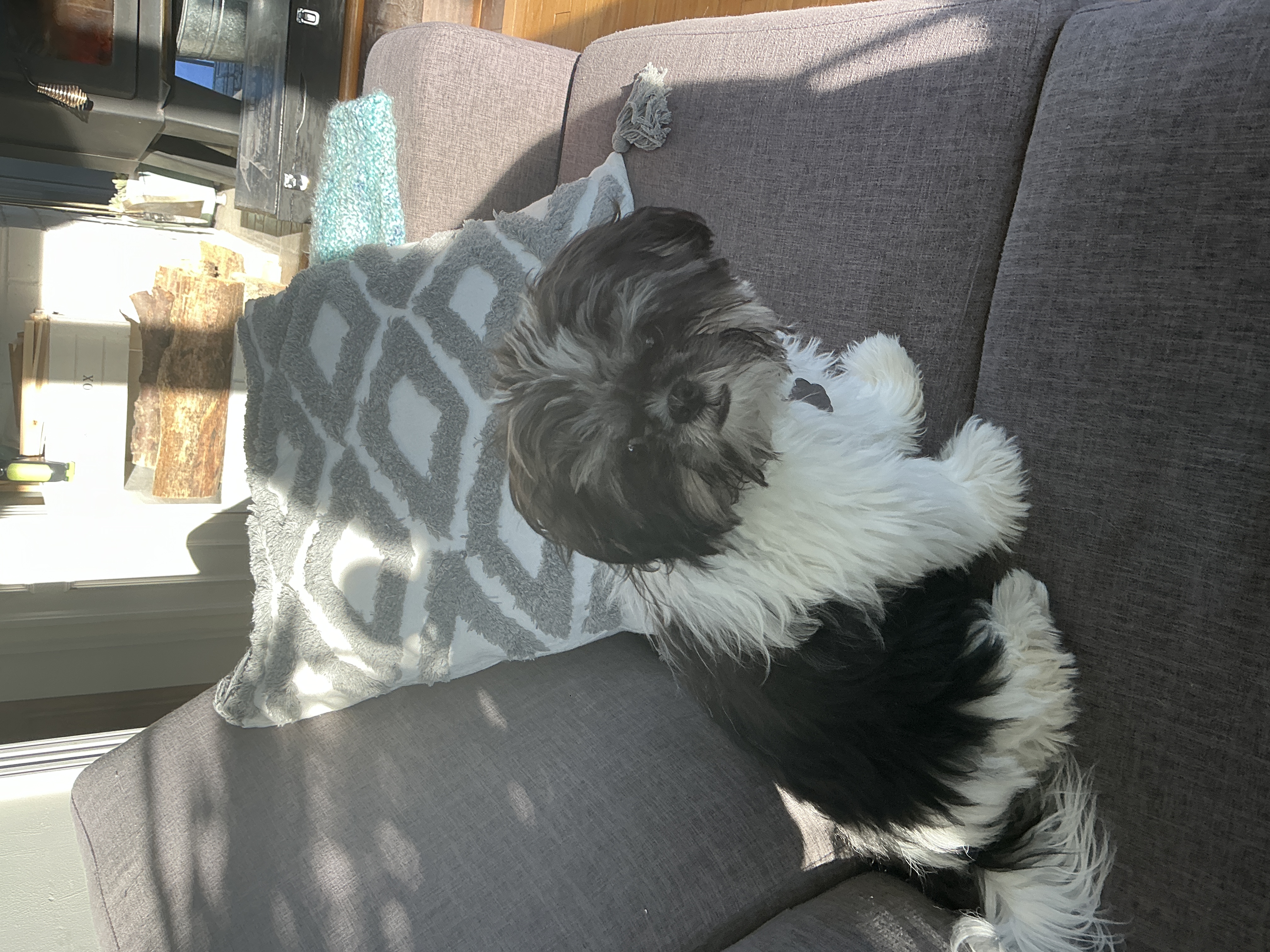 MAX