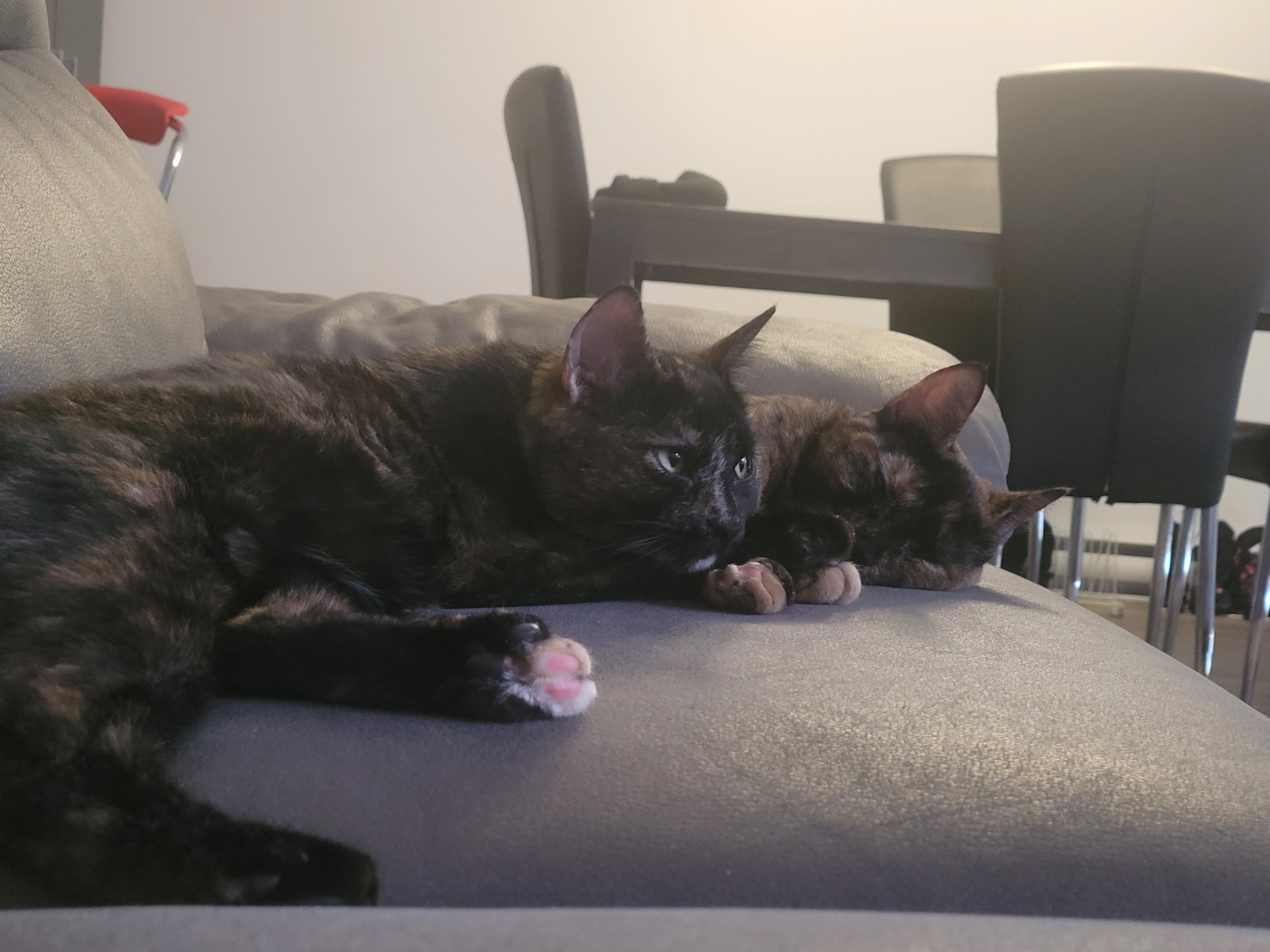 Mya
