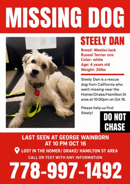 Lost Terrier mix white named Steely in Vancouver - Yaletown