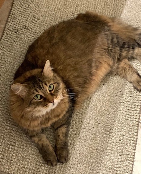 Mia