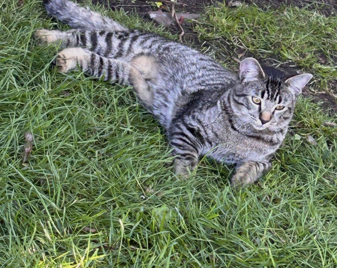Jack