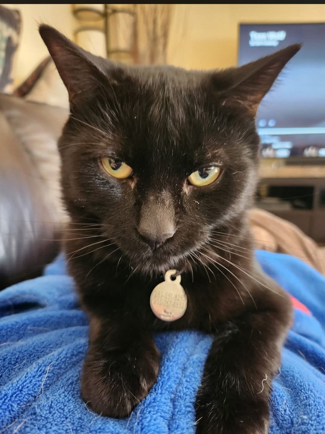 Silas