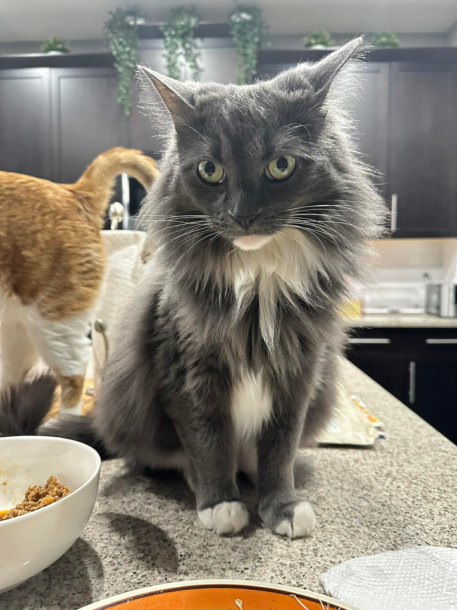 Bobby