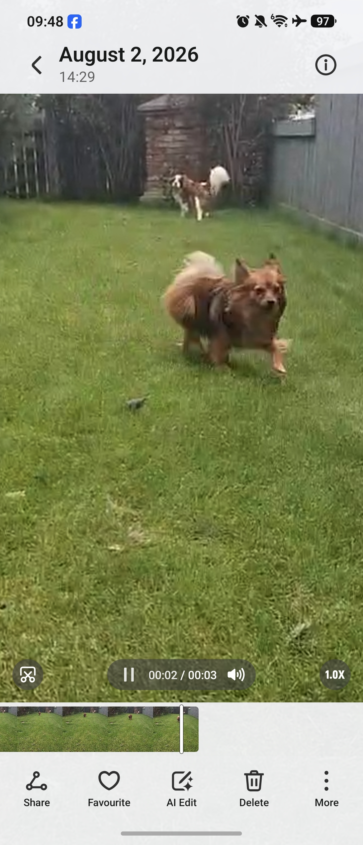 Milo