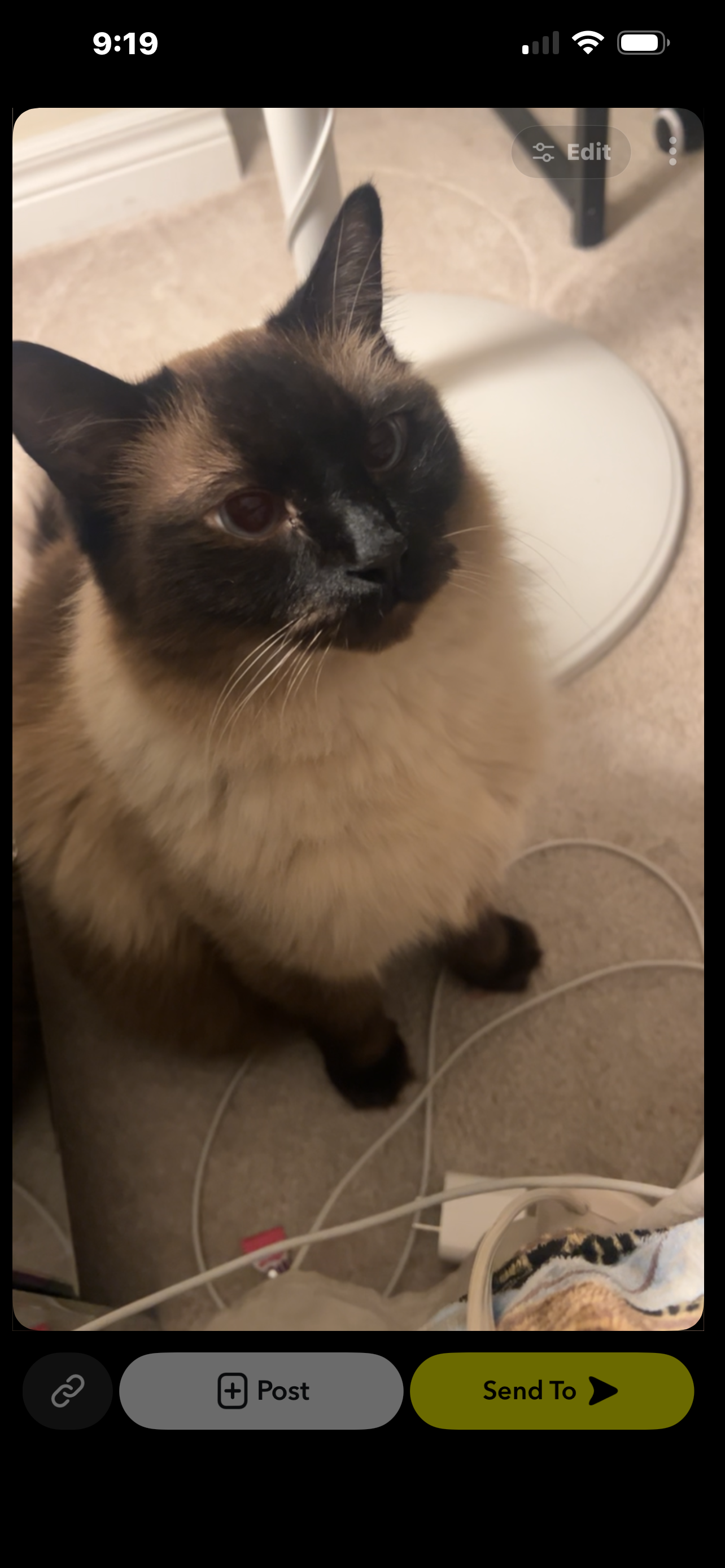 Chiku