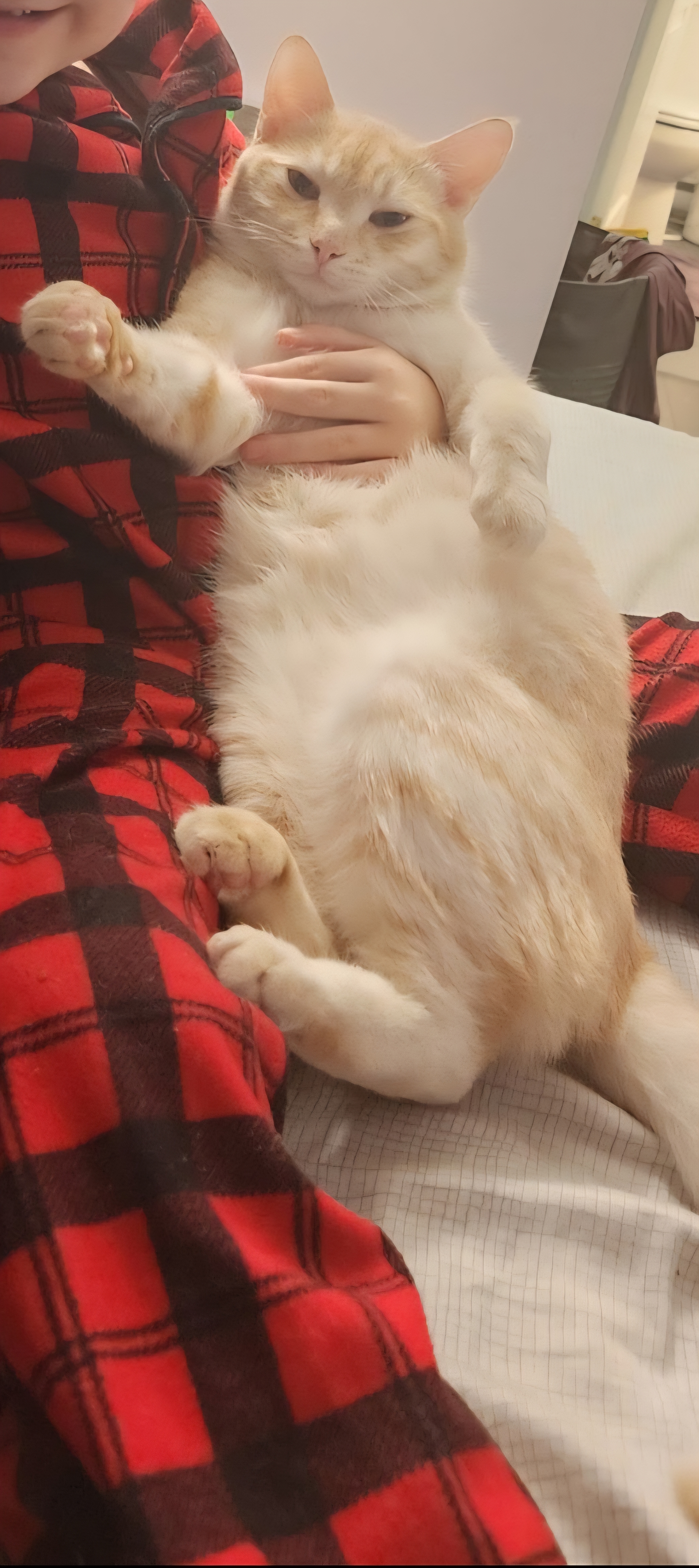 Milo