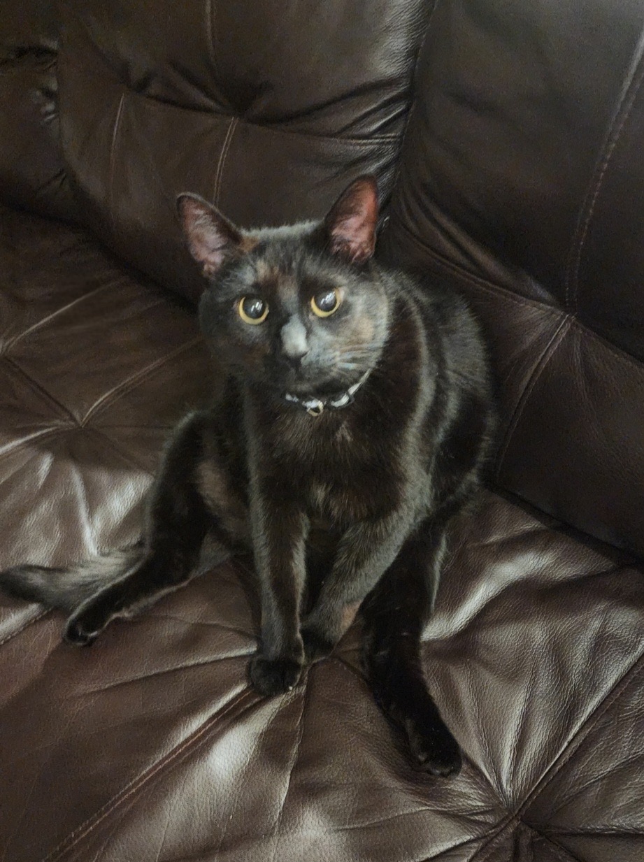 Poku
