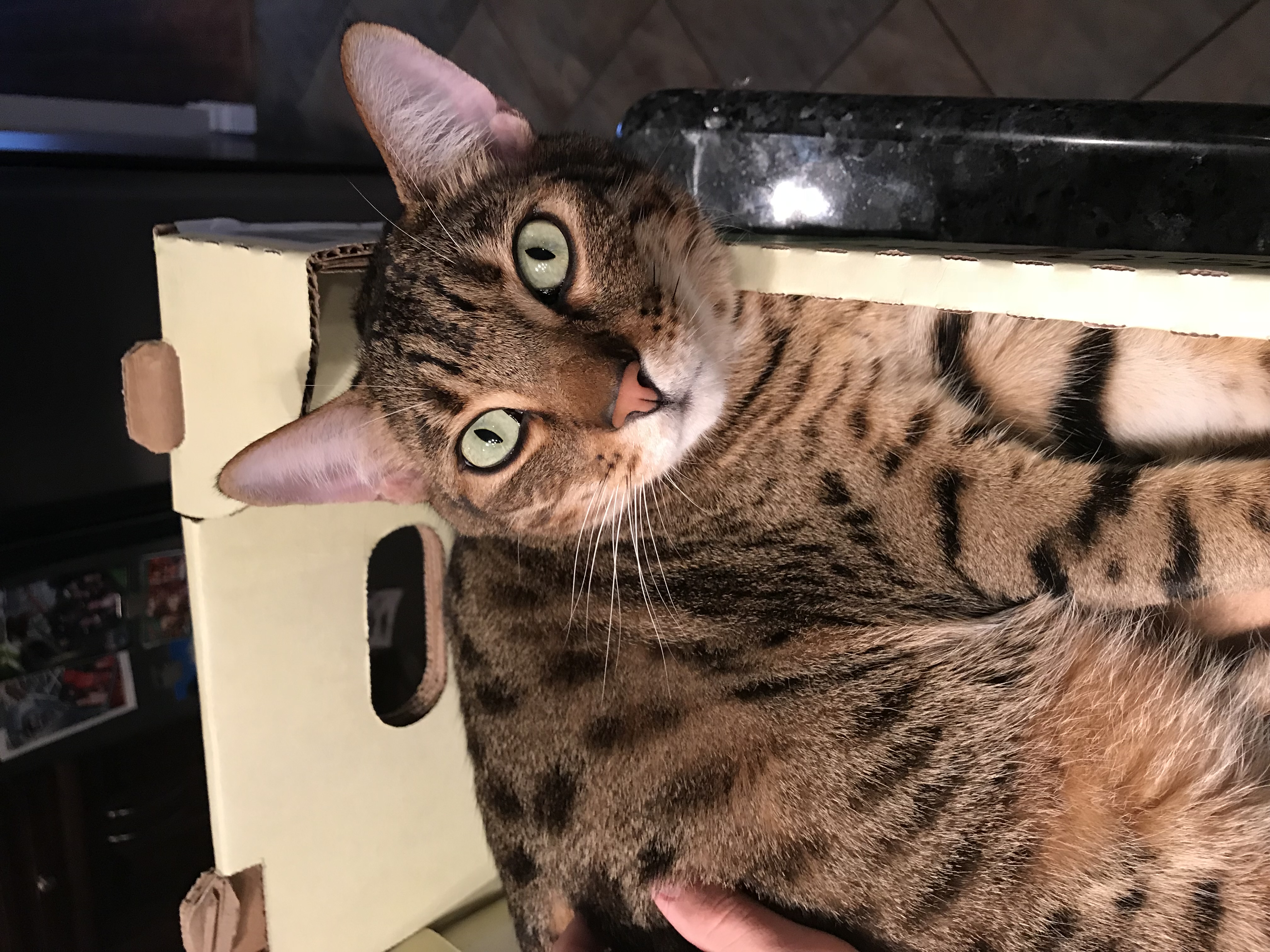 Leo