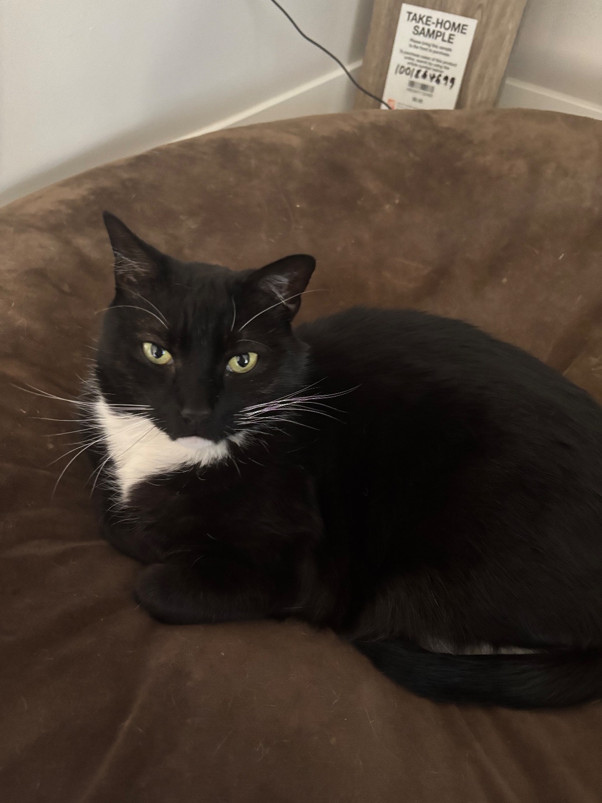 Max