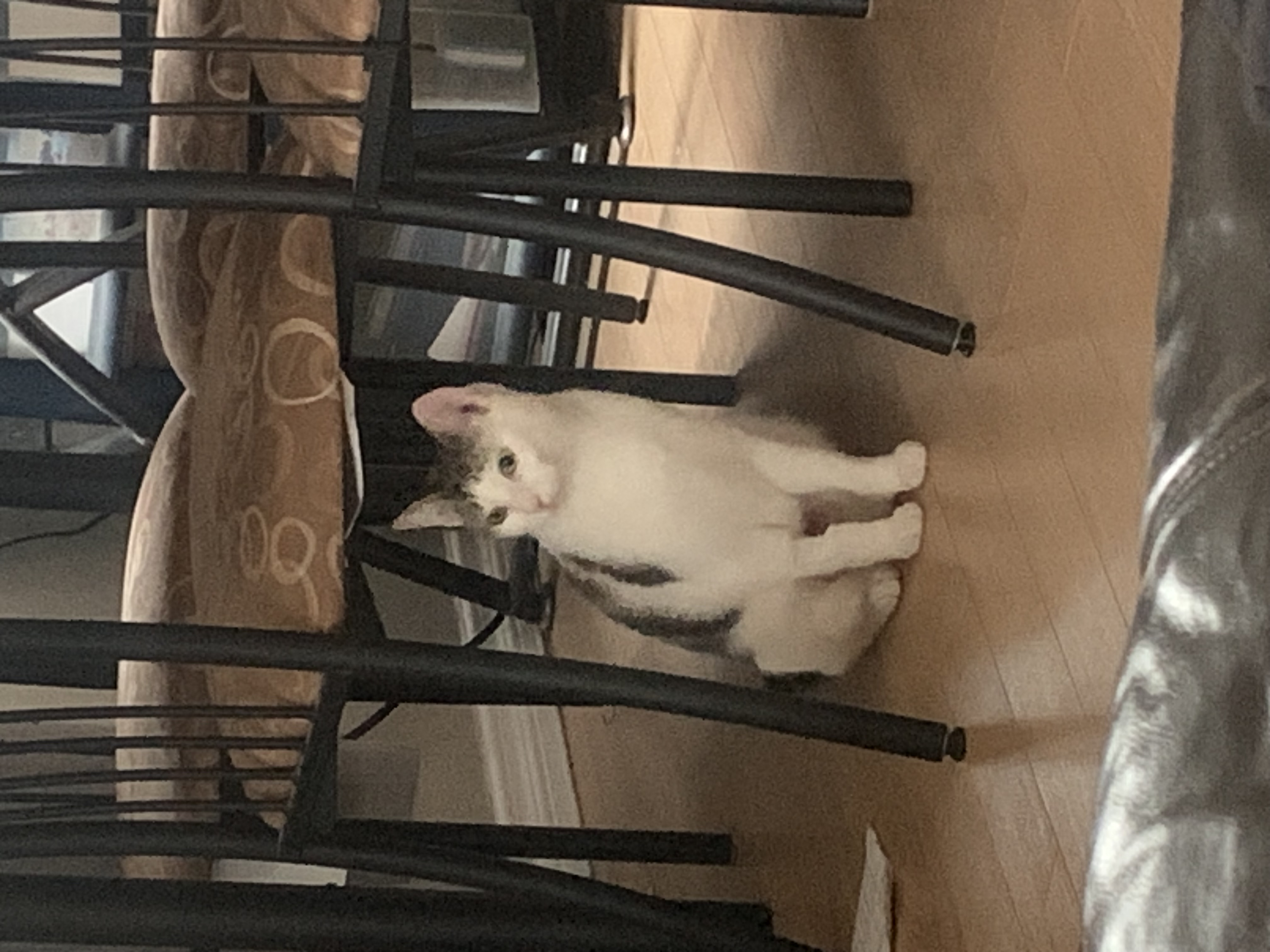 Nora