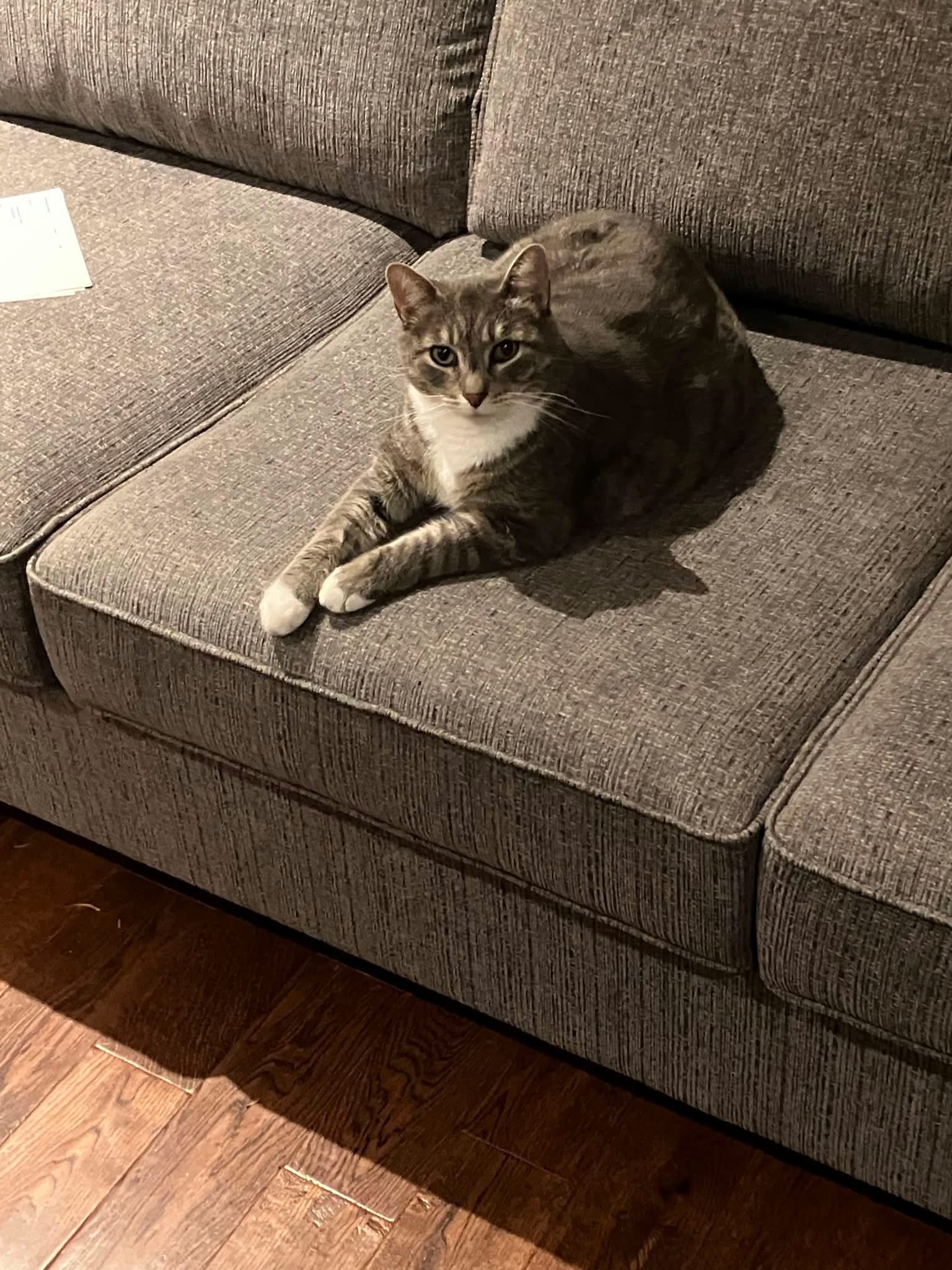 Beau