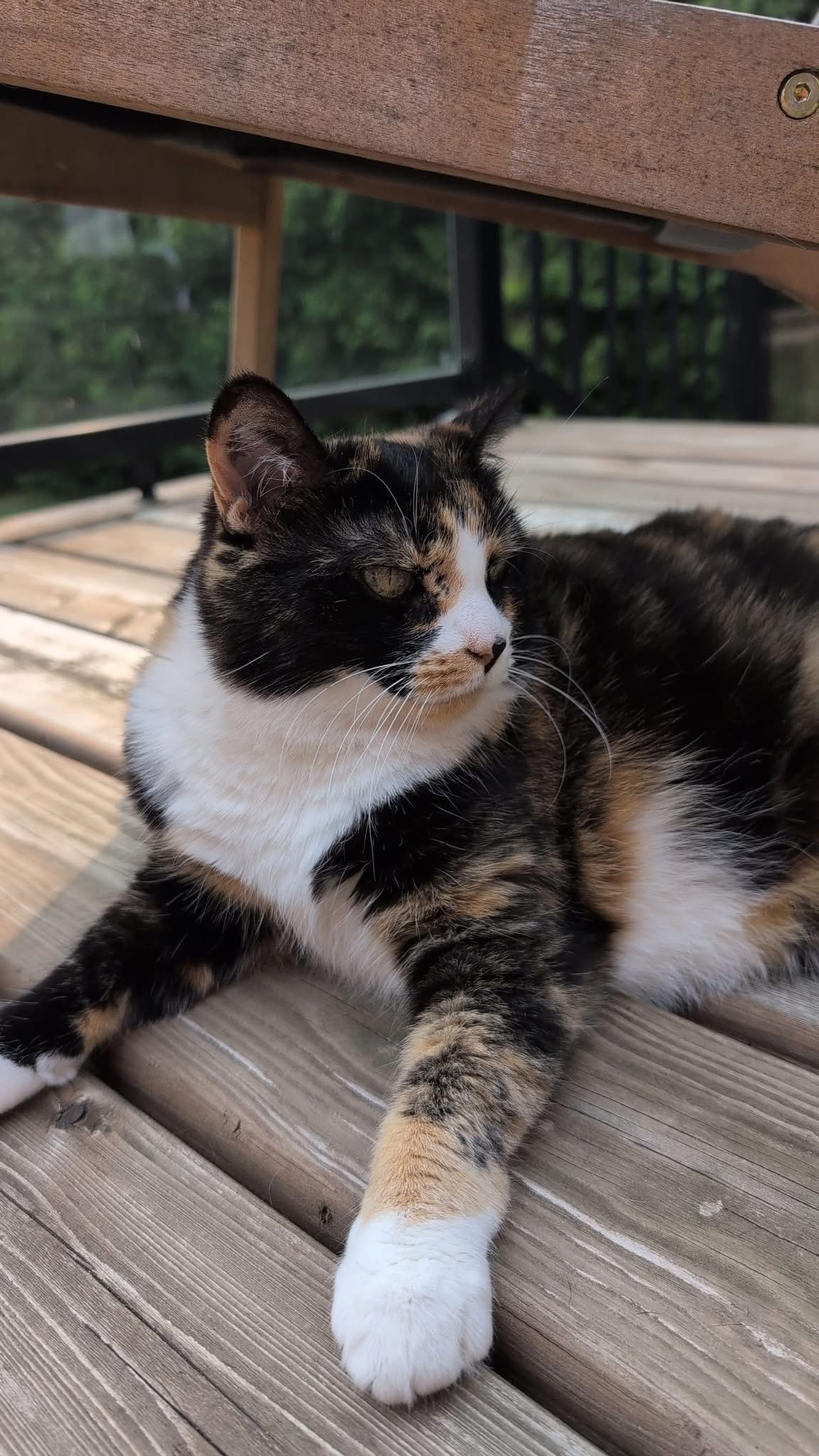 Molly