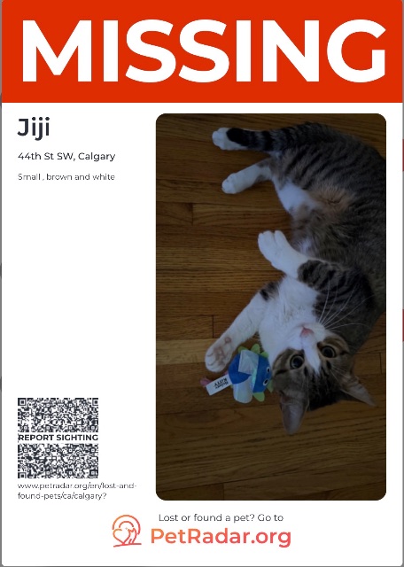 Lost Tabby white and brown named Jiji in Calgary