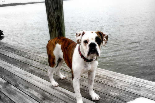 Lucy