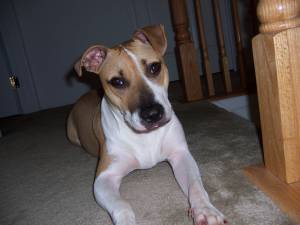 Molly