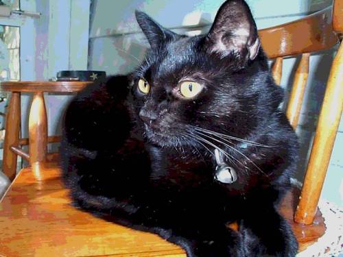 Salem