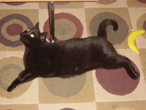 Shadow