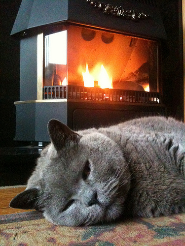 Mittens