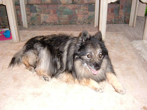 Bentley