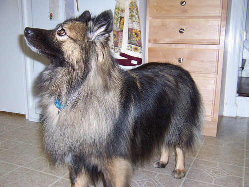 Tucker