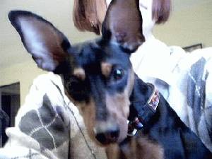 Zoey