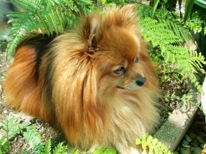 Lucy