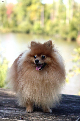 Charlie