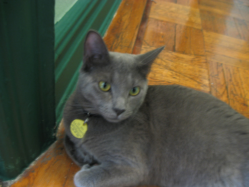 Oscar