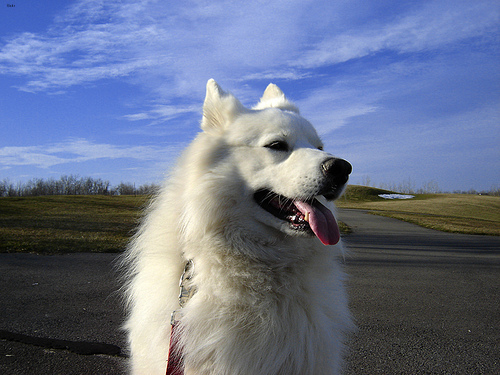 Lucy