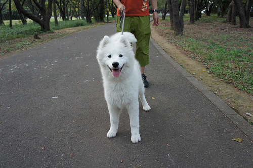 Lucy