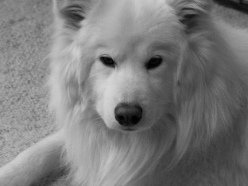 Lucy