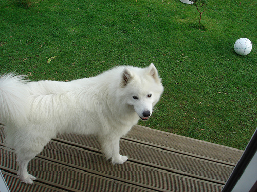 Lucy