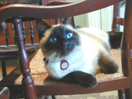 Mittens