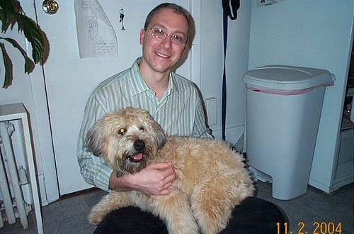Lost Soft-Coated Wheaten Terrier black and white named Bear in Miramichi